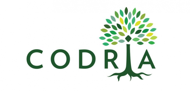www.codria.ro