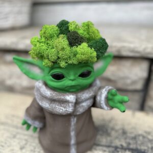 Dragalasul Yoda