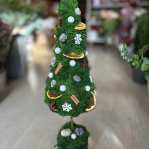 Brăduți decorați cu licheni naturali