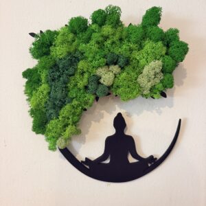Zen – Echilibrul Naturii
